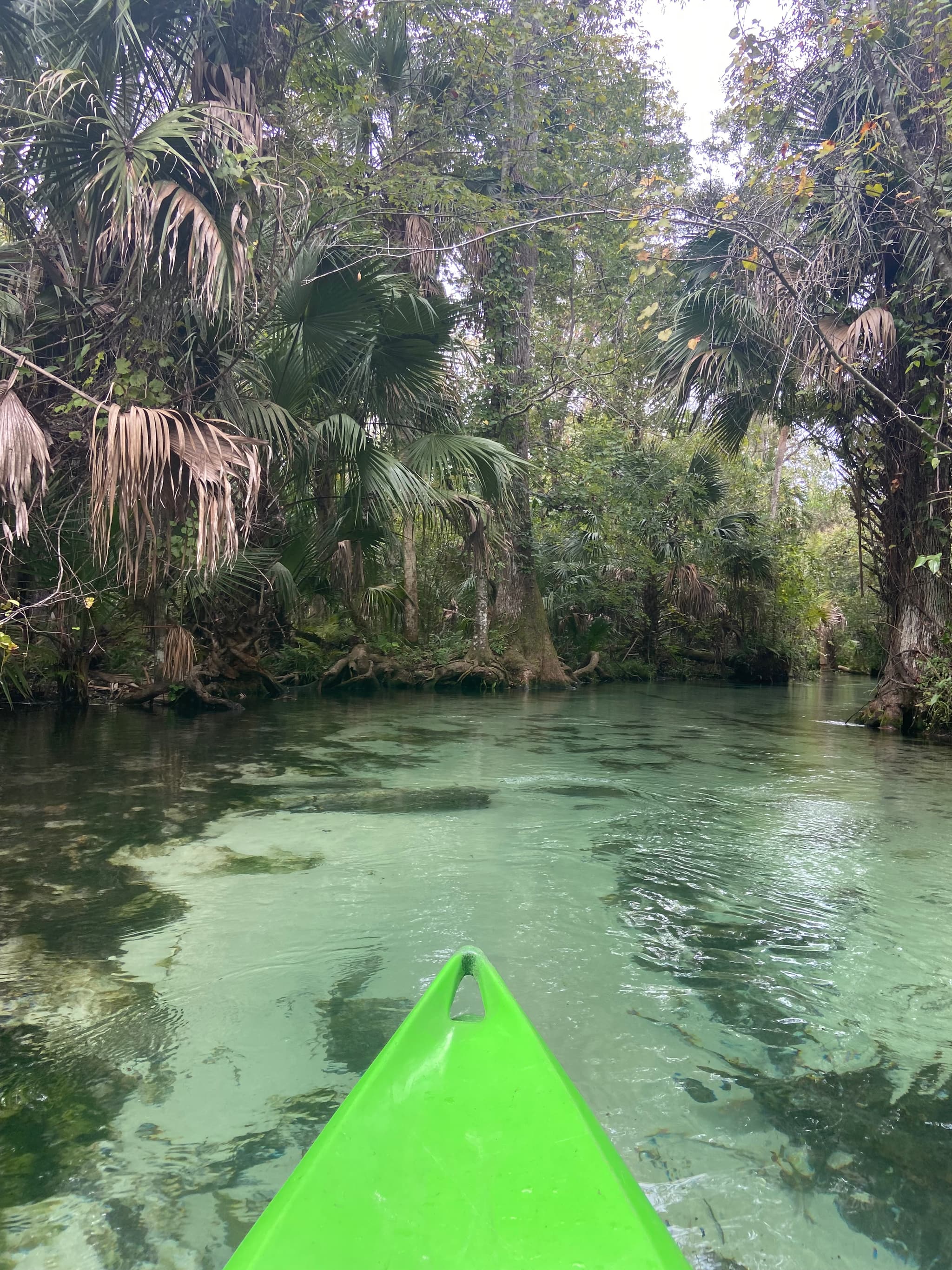 Kayak